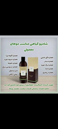شامپو